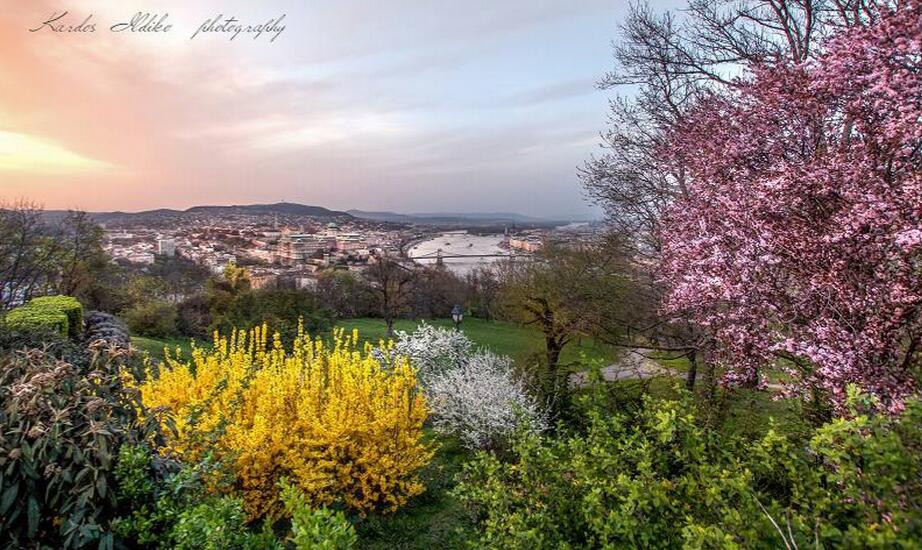 春天爱上布达佩斯的11个理由