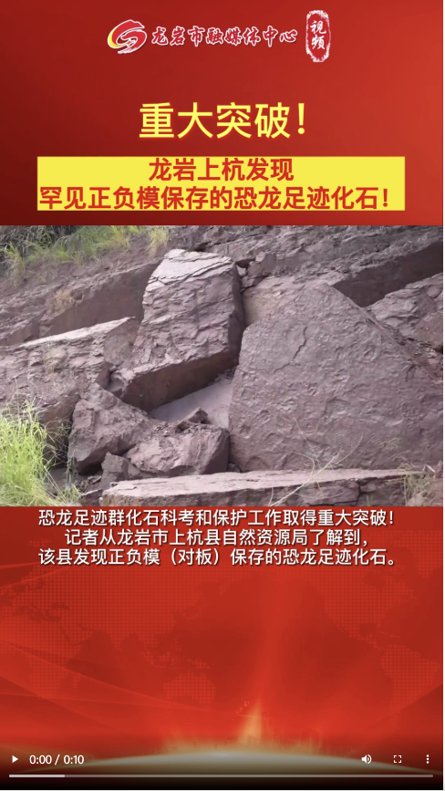 世界首个！在龙岩发现…...